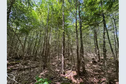 113 Town Hall Road, Lakeville, ME 04487 - Photo 16