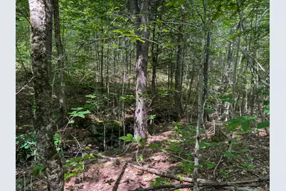 113 Town Hall Road, Lakeville, ME 04487 - Photo 20