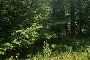 25 Cottage Ln, Orland, ME 04472 - Photo 1