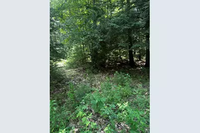 25 Cottage Lane, Orland, ME 04472 - Photo 12