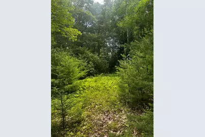 25 Cottage Lane, Orland, ME 04472 - Photo 4