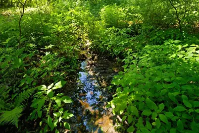 714 Mount Pisgah Road, Winthrop, ME 04364 - Photo 90