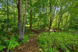 714 Mt Pisgah Rd, Winthrop, ME 04364 - Photo 86