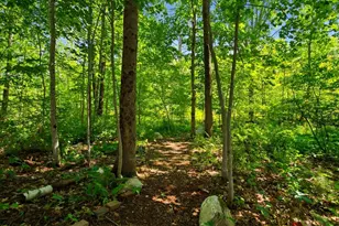 714 Mt Pisgah Rd, Winthrop, ME 04364 - Photo 88