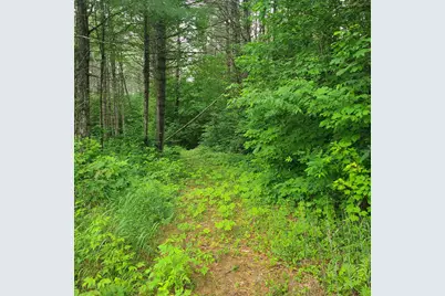 31 Flat Road, Bethel, ME 04217 - Photo 10
