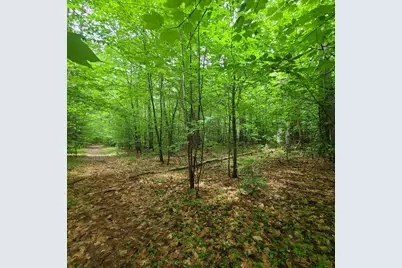 31 Flat Road, Bethel, ME 04217 - Photo 18
