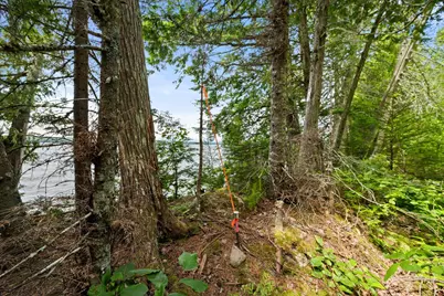 Lot#9A Railroad Bed Road, Lake View Plantation, ME 04463 - Photo 4