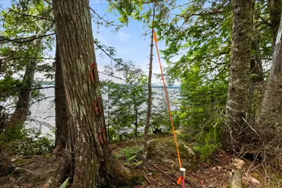 Lot#9A Railroad Bed Road, Lake View Plantation, ME 04463 - Photo 6