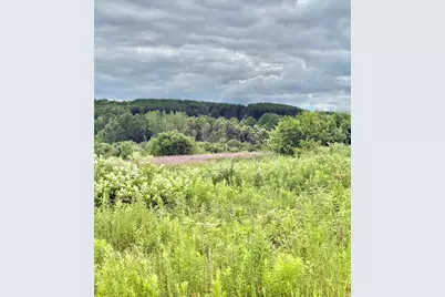 M4 L8 Conroy Road, Perham, ME 04766 - Photo 10