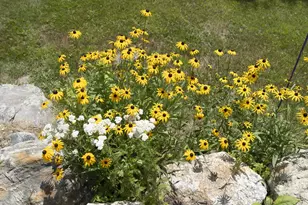 136 Poland Ln, Greenwood, ME 04255 - Photo 58