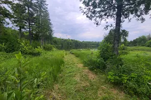 Lot 4 & 5 Russell Lake Rd, Linneus, ME 04730 - Photo 10