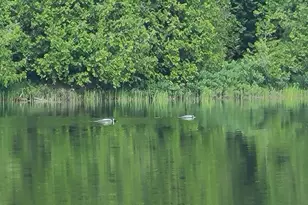 Lot 4 & 5 Russell Lake Rd, Linneus, ME 04730 - Photo 4