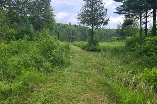 Lot 4 & 5 Russell Lake Rd, Linneus, ME 04730 - Photo 6