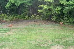 422 Peltoma Ave, Pittsfield, ME 04967 - Photo 30