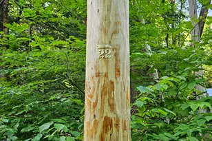 M U10 L6 Loon Cove Ln, Strong, ME 04983 - Photo 54