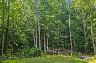M U10 L6 Loon Cove Ln, Strong, ME 04983 - Photo 40