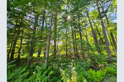 M U10 L6 Loon Cove Lane, Strong, ME 04983 - Photo 44