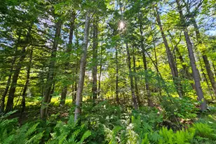 M U10 L6 Loon Cove Ln, Strong, ME 04983 - Photo 44