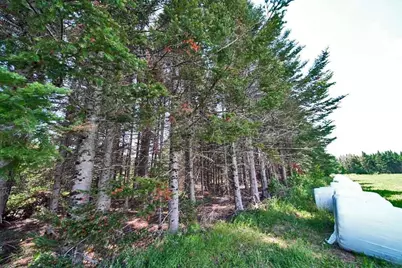 Lot 7 Drews Lake Road, Houlton, ME 04730 - Photo 22