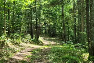 15 Hillside Wy, Newry, ME 04261 - Photo 4