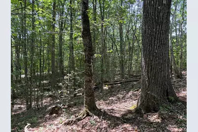 3.41 Acres Belden Woods Road, Palermo, ME 04354 - Photo 12