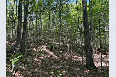3.41 Acres Belden Woods Road, Palermo, ME 04354 - Photo 10