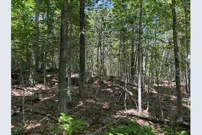 3.41 Acres Belden Woods Road, Palermo, ME 04354 - Photo 14