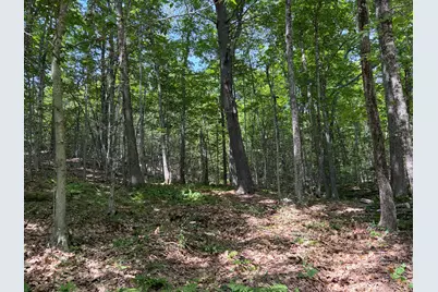 3.41 Acres Belden Woods Road, Palermo, ME 04354 - Photo 8