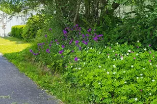 305 Windham Center Rd, Windham, ME 04062 - Photo 82