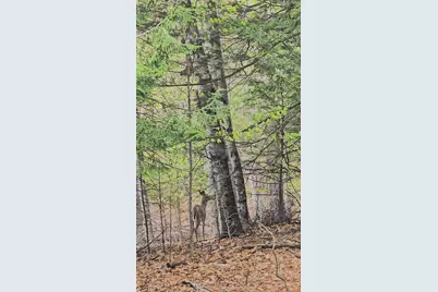 146 Belcher Road, Farmington, ME 04938 - Photo 80