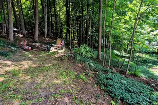 127 Anson St, Farmington, ME 04938 - Photo 58
