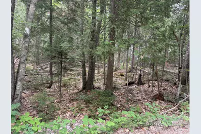 00 Youngâ€™s Point Road, Brooksville, ME 04617 - Photo 2
