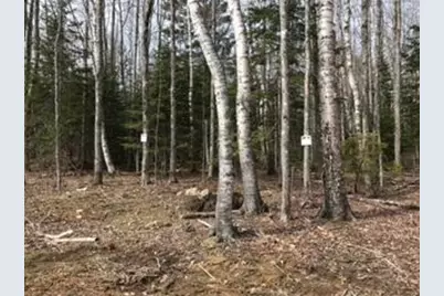Lot 1 Fairbanks Drive, Rockport, ME 04856 - Photo 18
