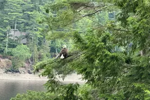 22 Murphy Ln, Hampden, ME 04444 - Photo 106