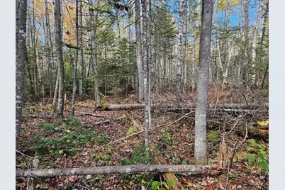 189 Degerstrom Road, Monson, ME 04464 - Photo 54