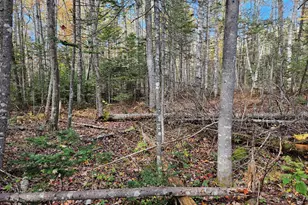 189 Degerstrom Rd, Monson, ME 04464 - Photo 54