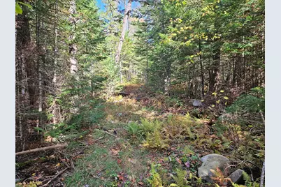 189 Degerstrom Road, Monson, ME 04464 - Photo 58