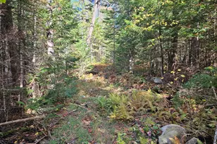 189 Degerstrom Rd, Monson, ME 04464 - Photo 58