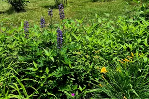 20 Prospect St, Wilton, ME 04294 - Photo 96