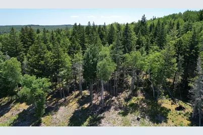 1246 County Road, Trescott Twp, ME 04652 - Photo 88