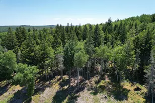 1246 County Rd, Trescott Twp, ME 04652 - Photo 88