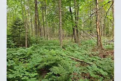 10 Moosehorn Road, Abbot, ME 04406 - Photo 28