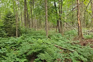 10 Moosehorn Rd, Abbot, ME 04406 - Photo 28