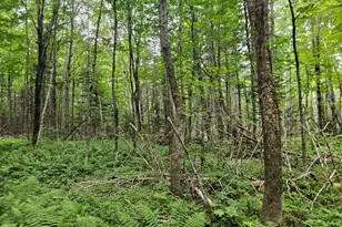 10 Moosehorn Rd, Abbot, ME 04406 - Photo 32