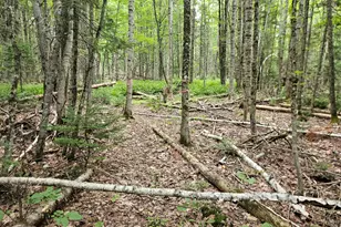 10 Moosehorn Rd, Abbot, ME 04406 - Photo 34