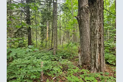 10 Moosehorn Road, Abbot, ME 04406 - Photo 30