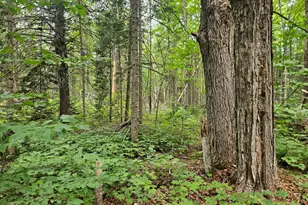 10 Moosehorn Rd, Abbot, ME 04406 - Photo 30