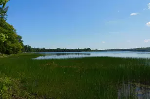 47 Tranquility Ln, Perry, ME 04667 - Photo 10