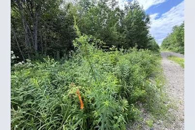 Map 24 Old County Road, Charlotte, ME 04666 - Photo 20