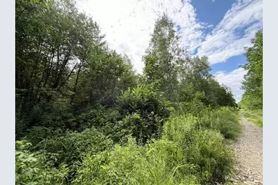 Map 24 Old County Road, Charlotte, ME 04666 - Photo 16